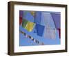 Buddhist Prayer Flags, Bodhnath, Kathmandu, Nepal, Asia-David Poole-Framed Photographic Print