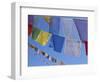 Buddhist Prayer Flags, Bodhnath, Kathmandu, Nepal, Asia-David Poole-Framed Photographic Print