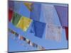 Buddhist Prayer Flags, Bodhnath, Kathmandu, Nepal, Asia-David Poole-Mounted Photographic Print