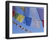 Buddhist Prayer Flags, Bodhnath, Kathmandu, Nepal, Asia-David Poole-Framed Photographic Print