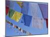 Buddhist Prayer Flags, Bodhnath, Kathmandu, Nepal, Asia-David Poole-Mounted Photographic Print