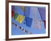 Buddhist Prayer Flags, Bodhnath, Kathmandu, Nepal, Asia-David Poole-Framed Photographic Print