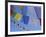 Buddhist Prayer Flags, Bodhnath, Kathmandu, Nepal, Asia-David Poole-Framed Photographic Print