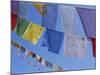 Buddhist Prayer Flags, Bodhnath, Kathmandu, Nepal, Asia-David Poole-Mounted Photographic Print