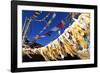 Buddhist prayer flags, Mustang, Nepal, Himalayas, Asia-null-Framed Photographic Print