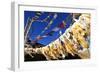 Buddhist prayer flags, Mustang, Nepal, Himalayas, Asia-null-Framed Photographic Print