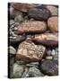 Buddhist Prayers on Carved Mani Stones in Tibet-Craig Lovell-Stretched Canvas