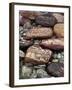 Buddhist Prayers on Carved Mani Stones in Tibet-Craig Lovell-Framed Photographic Print