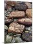 Buddhist Prayers on Carved Mani Stones in Tibet-Craig Lovell-Mounted Photographic Print