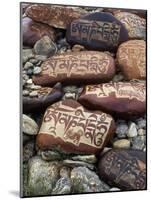 Buddhist Prayers on Carved Mani Stones in Tibet-Craig Lovell-Mounted Photographic Print