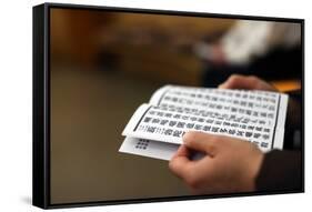 Buddhist sacred texts, Buddhist ceremony in Fo Guang Shan Temple, Geneva, Switzerland-Godong-Framed Stretched Canvas