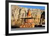 Buddhist stupa (chorten) near Tsarang village, Mustang, Nepal, Himalayas, Asia-null-Framed Photographic Print