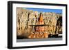 Buddhist stupa (chorten) near Tsarang village, Mustang, Nepal, Himalayas, Asia-null-Framed Photographic Print