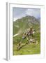 Buddhist Stupa, Mont Fallere, Aosta Valley, Italian Alps, Italy-Nico Tondini-Framed Photographic Print