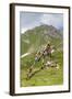 Buddhist Stupa, Mont Fallere, Aosta Valley, Italian Alps, Italy-Nico Tondini-Framed Photographic Print