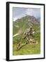 Buddhist Stupa, Mont Fallere, Aosta Valley, Italian Alps, Italy-Nico Tondini-Framed Photographic Print