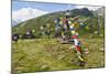 Buddhist Stupa, Mont Fallere, Aosta Valley, Italian Alps, Italy-Nico Tondini-Mounted Photographic Print