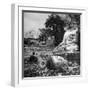 Buddhist Temple Destroyed During Karen Uprising, Buddha's Head Lying Where It Fell During Battle-Jack Birns-Framed Photographic Print