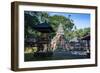 Buddhist Temple in the Monkey Forest, Ubud, Bali, Indonesia,Southeast Asia, Asia-Michael Runkel-Framed Photographic Print