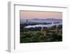 Buddhist Temples, Bagan (Pagan), Myanmar (Burma), Asia-Nathalie Cuvelier-Framed Photographic Print