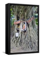 Buddhist Tree Shrine, Southern Province, Sri Lanka, Asia-Christian Kober-Framed Stretched Canvas