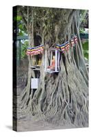 Buddhist Tree Shrine, Southern Province, Sri Lanka, Asia-Christian Kober-Stretched Canvas