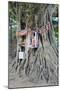 Buddhist Tree Shrine, Southern Province, Sri Lanka, Asia-Christian Kober-Mounted Photographic Print