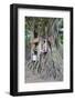 Buddhist Tree Shrine, Southern Province, Sri Lanka, Asia-Christian Kober-Framed Photographic Print