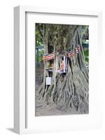 Buddhist Tree Shrine, Southern Province, Sri Lanka, Asia-Christian Kober-Framed Photographic Print