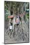 Buddhist Tree Shrine, Southern Province, Sri Lanka, Asia-Christian Kober-Mounted Photographic Print