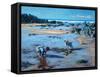 Buddies on the Beach-Tilly Willis-Framed Stretched Canvas