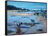 Buddies on the Beach-Tilly Willis-Framed Stretched Canvas