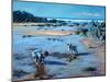 Buddies on the Beach-Tilly Willis-Mounted Giclee Print
