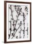 Budding Blossom-Assaf Frank-Framed Giclee Print