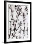 Budding Blossom-Assaf Frank-Framed Giclee Print