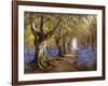 Budding Spring-Daniel Sherrin-Framed Premium Giclee Print