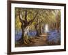 Budding Spring-Daniel Sherrin-Framed Premium Giclee Print