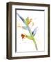 Budding-Sheila Golden-Framed Art Print