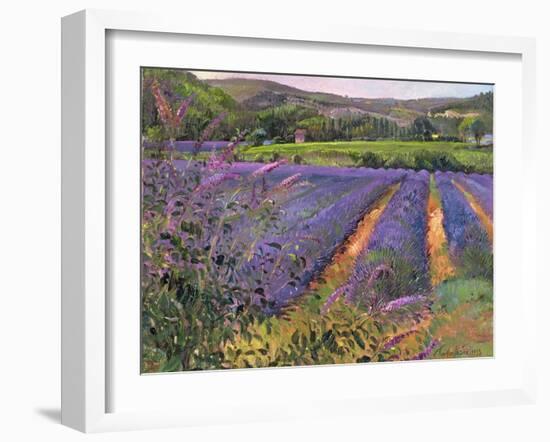 Buddleia and Lavender Field, Montclus, 1993-Timothy Easton-Framed Giclee Print