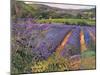 Buddleia and Lavender Field, Montclus, 1993-Timothy Easton-Mounted Giclee Print