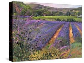 Buddleia and Lavender Field, Montclus, 1993-Timothy Easton-Stretched Canvas