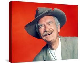Buddy Ebsen, The Beverly Hillbillies (1962)-null-Stretched Canvas