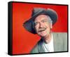 Buddy Ebsen, The Beverly Hillbillies (1962)-null-Framed Stretched Canvas