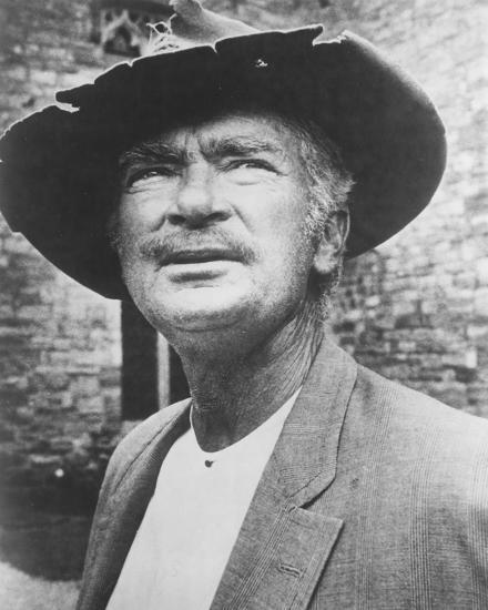 'Buddy Ebsen - The Beverly Hillbillies' Photo | AllPosters.com