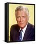 Buddy Ebsen-null-Framed Stretched Canvas