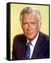 Buddy Ebsen-null-Framed Stretched Canvas