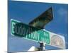 Buddy Holly Avenue, Lubbock, Texas, USA-Ethel Davies-Mounted Photographic Print