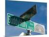 Buddy Holly Avenue, Lubbock, Texas, USA-Ethel Davies-Mounted Photographic Print