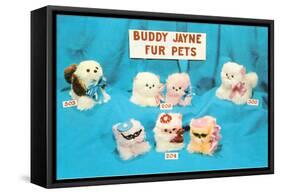 Buddy Jayne Fur Pets-null-Framed Stretched Canvas