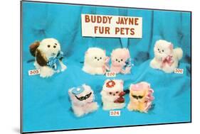 Buddy Jayne Fur Pets-null-Mounted Art Print
